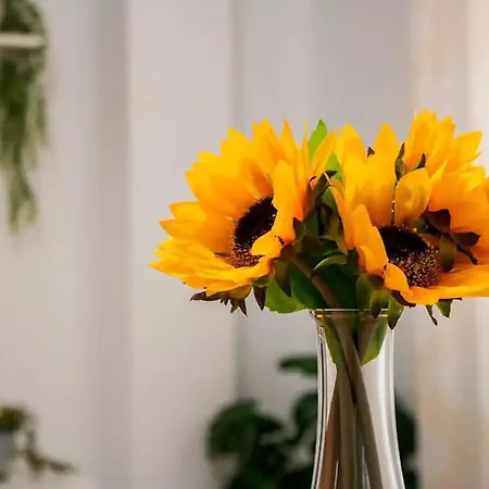 Apartman Piso Con Mucho Encanto En El Centro Santender