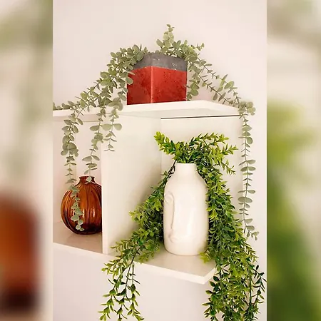 Piso Con Mucho Encanto En El Centro * Santender