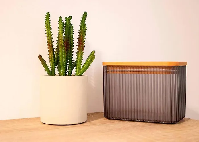 Piso Con Mucho Encanto En El Centro Santander