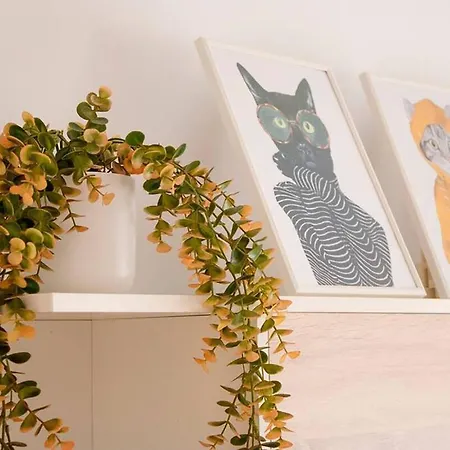 Piso Con Mucho Encanto En El Centro * Santander