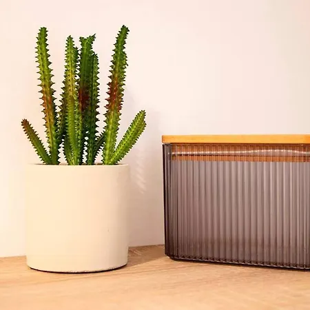 Piso Con Mucho Encanto En El Centro Santander