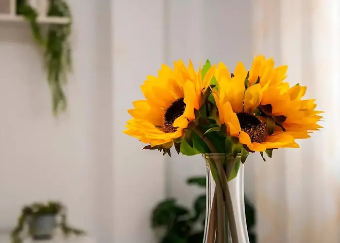 Lägenhet Piso Con Mucho Encanto En El Centro Santander